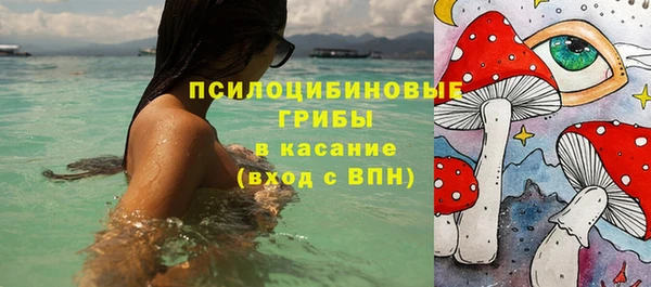 прущие крисы Заводоуковск