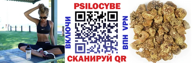 Псилоцибиновые грибы прущие грибы  Одинцово 